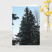 森林の小ぎれいな木 カード (黄色い花)