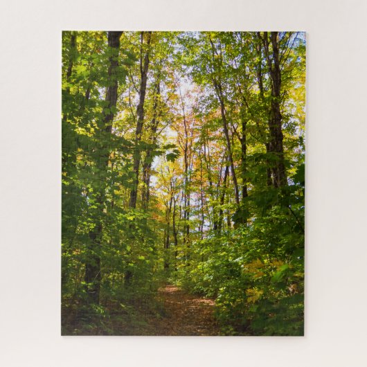 森林の平和な道 ジグソーパズル (縦)