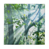 森林の朝 タイル (正面)