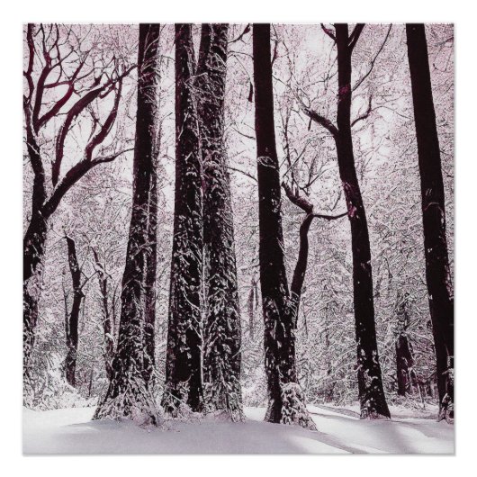 森林の木々 雪景色の冬の風景 ポスター (正面)