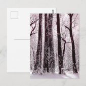 森林の木々 雪景色の冬の風景 ポストカード (正面/裏面)