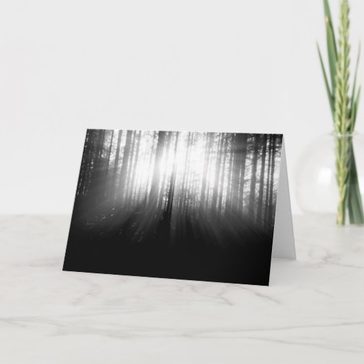 森林の木を通って照る日曜日 カード (正面)