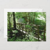 森林の歩道橋 ポストカード (正面/裏面)