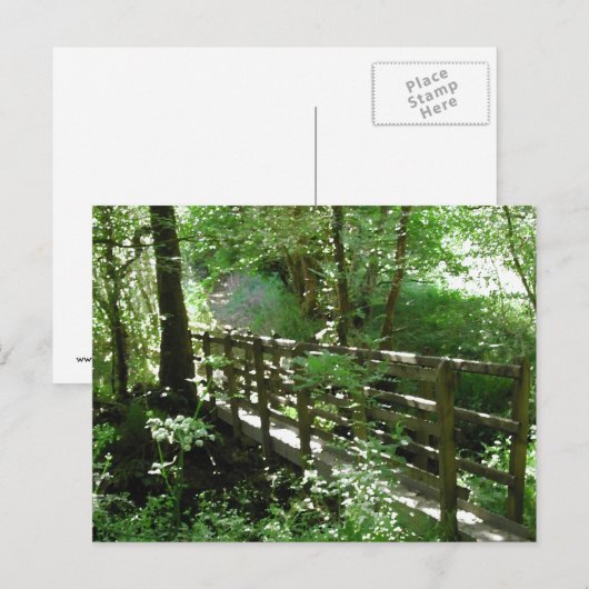 森林の歩道橋 ポストカード (正面/裏面)