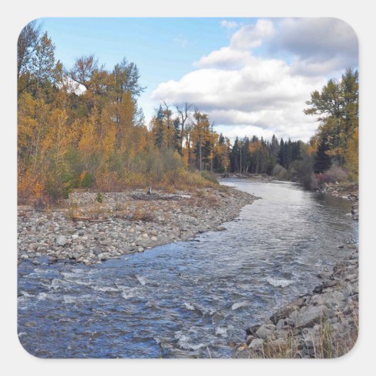 森林の渓流のプリントシール スクエアシール (正面)