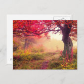 森林の秋の木との威厳のあるな景色 ポストカード (正面/裏面)
