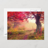 森林の秋の木との威厳のあるな景色 ポストカード (正面/裏面)