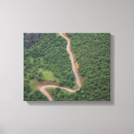 森林の空中写真 キャンバスプリント