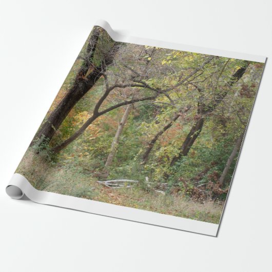 森林の紅葉 ラッピングペーパー (アンロールド)