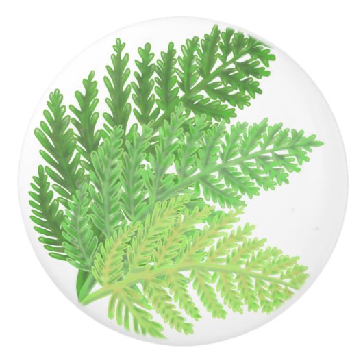 森林の緑シダ植物植物 セラミックノブ (正面)