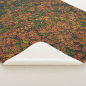 森林の航空写真 シェルパブランケット (3/4)