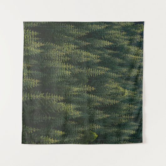 森林の航空写真 タペストリー (正面(横))