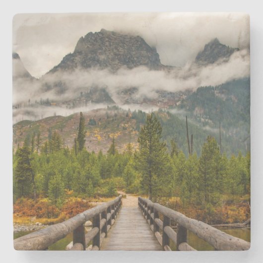 森林の跡 ストーンコースター (正面)