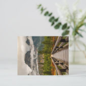 森林の跡 ポストカード (スタンド正面)