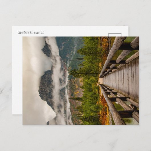 森林の跡 ポストカード (正面/裏面)