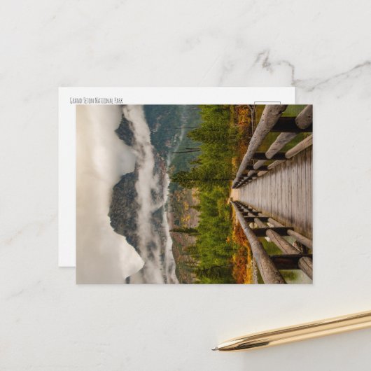 森林の跡 ポストカード (正面/裏面インサイチュ)