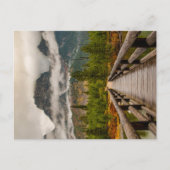 森林の跡 ポストカード (正面)