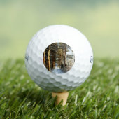 森林の雪のシーンcss gba ゴルフボール (インサイチュ 木)