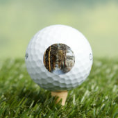 森林の雪のシーンcwb gbcna ゴルフボール (インサイチュ 木)