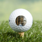 森林の雪のシーンssf gbcnm ゴルフボール (インサイチュ 木)