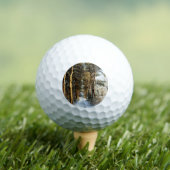 森林の雪のシーンva gbcnm ゴルフボール (インサイチュ 木)