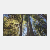 森林の風景 デスクマット (正面)