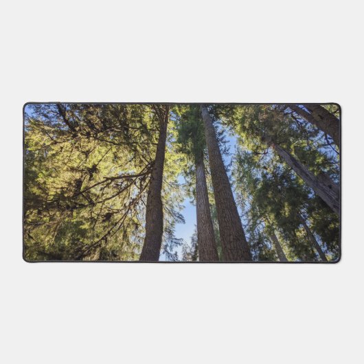 森林の風景 デスクマット (正面)