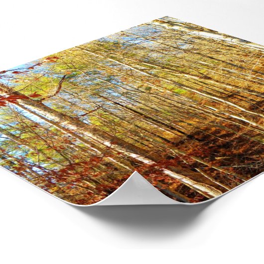 森林の風景 ポスター (角)