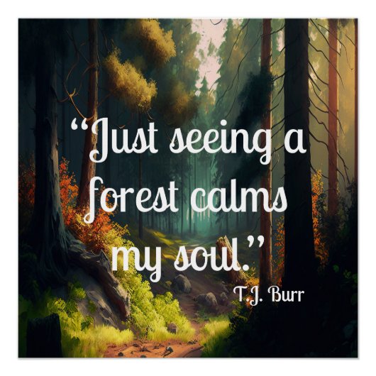 森林の風景 ポスター (正面)