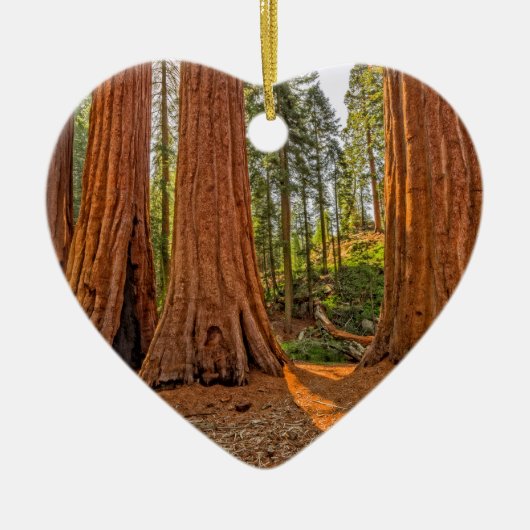 森林の（昆虫）オオカバマダラ、モナーク セラミックオーナメント (正面)