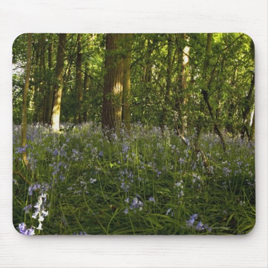 森林のBluebells マウスパッド (正面)