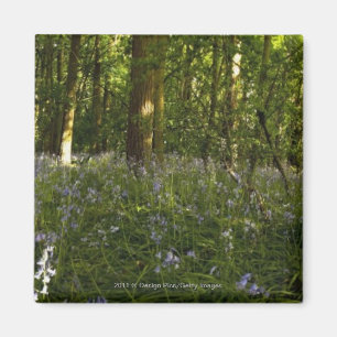 森林のBluebells マグネット