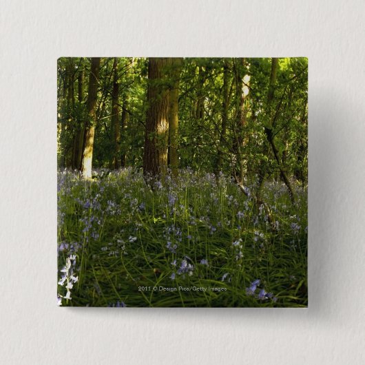 森林のBluebells 缶バッジ (正面)