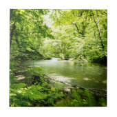 森林への深い タイル (正面)