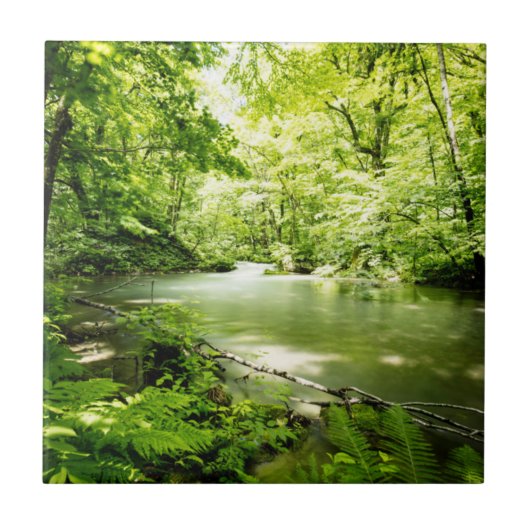 森林への深い タイル (正面)