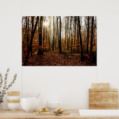 森林を通した朝の太陽光線 ポスター (キッチン)