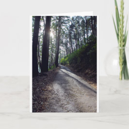森林を通した田舎道 カード
