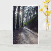森林を通した田舎道 カード (黄色い花)