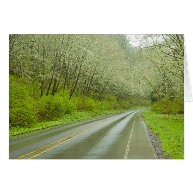 森林を通した遠隔ハイウェー (正面横)