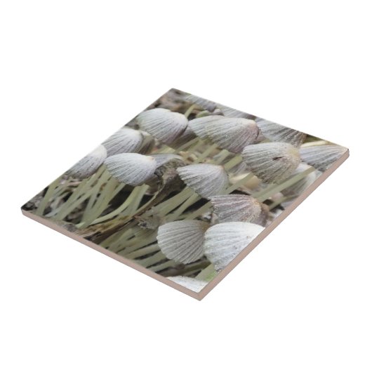 森林キノコ タイル (側面)