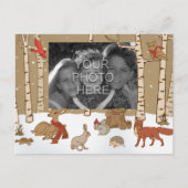 森林クリスマスの写真の郵便はがき シーズンポストカード (正面)