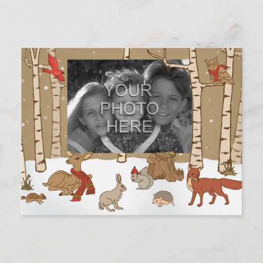 森林クリスマスの写真の郵便はがき シーズンポストカード (正面)