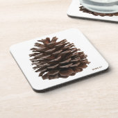 森林コースター コースター (左側)