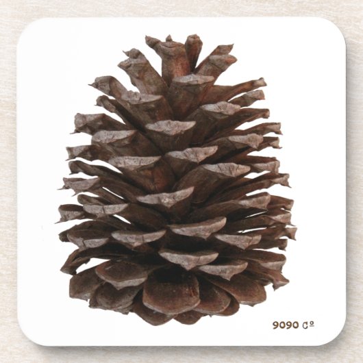 森林コースター コースター (正面)