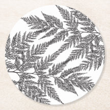 森林シダの葉状体のシルエット