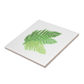 森林シダ タイル (側面)