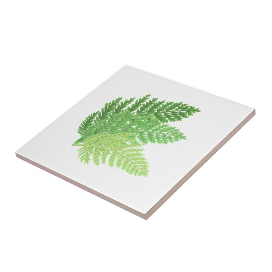 森林シダ タイル (側面)