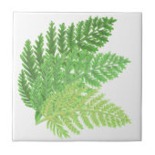 森林シダ タイル (正面)