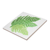 森林シダ タイル (側面)