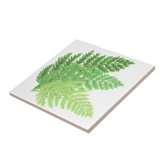 森林シダ タイル (側面)